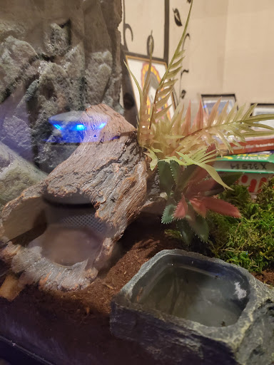 Pet Supply Store «PetSmart», reviews and photos, 15042 Summit Ave, Fontana, CA 92336, USA