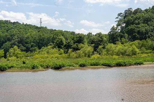 Hiking Area «Gold Branch Trail», reviews and photos, 6156 Lower Roswell Rd, Marietta, GA 30068, USA