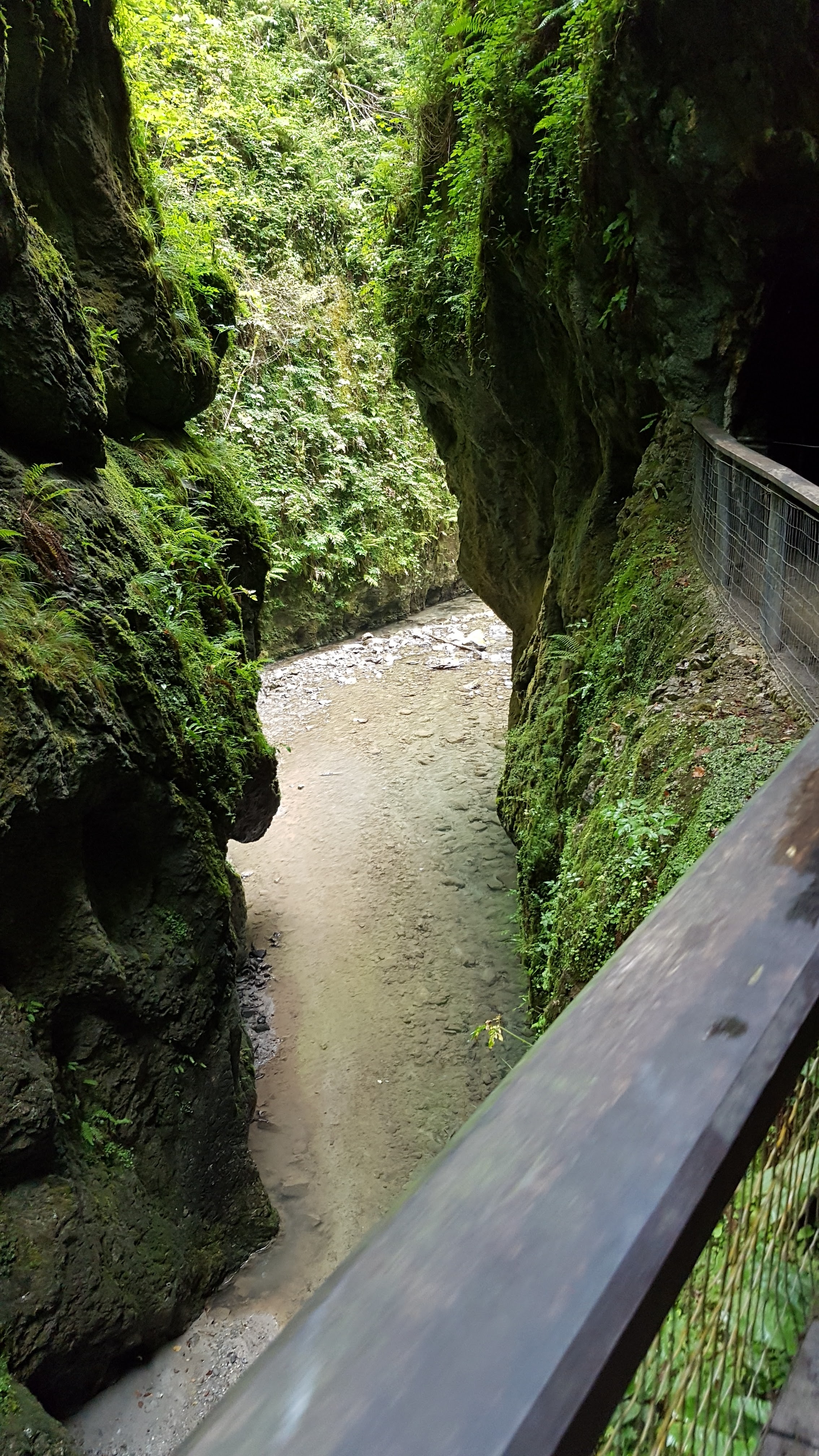 Photo n° 1 de l'avis de Lo. fait le 10/08/2020 à 17:54