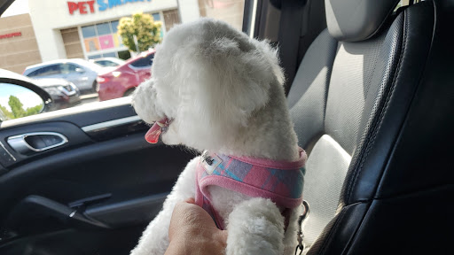 Pet Supply Store «PetSmart», reviews and photos, 2347 N Telegraph Rd, Monroe, MI 48162, USA