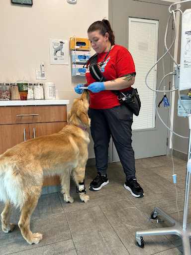 Veterinary Emergency Group image