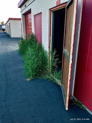 Self-Storage Facility «CubeSmart Self Storage», reviews and photos, 7600 Arlington Ave, Riverside, CA 92503, USA