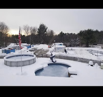 Blue Dolphin Pools & Spas Inc. - Photo 6 - Car repair in Bedford, NH, Manchester