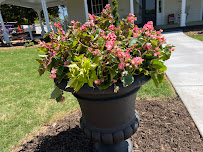 GreenScenez Landscape Management LLC - Photo 6 - Car repair in Danielsville, GA, Athens