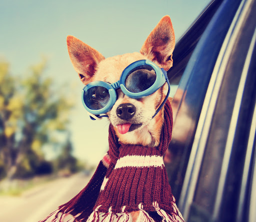 Auto Repair Shop «Progressive Automotive», reviews and photos, 11 Commerce Pkwy, Fredericksburg, VA 22406, USA