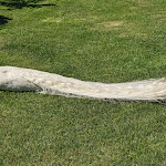 Photo n°1 de l'avis de David.e fait le 28/04/2022 à 15:25 sur le  Il Roseto à Stresa