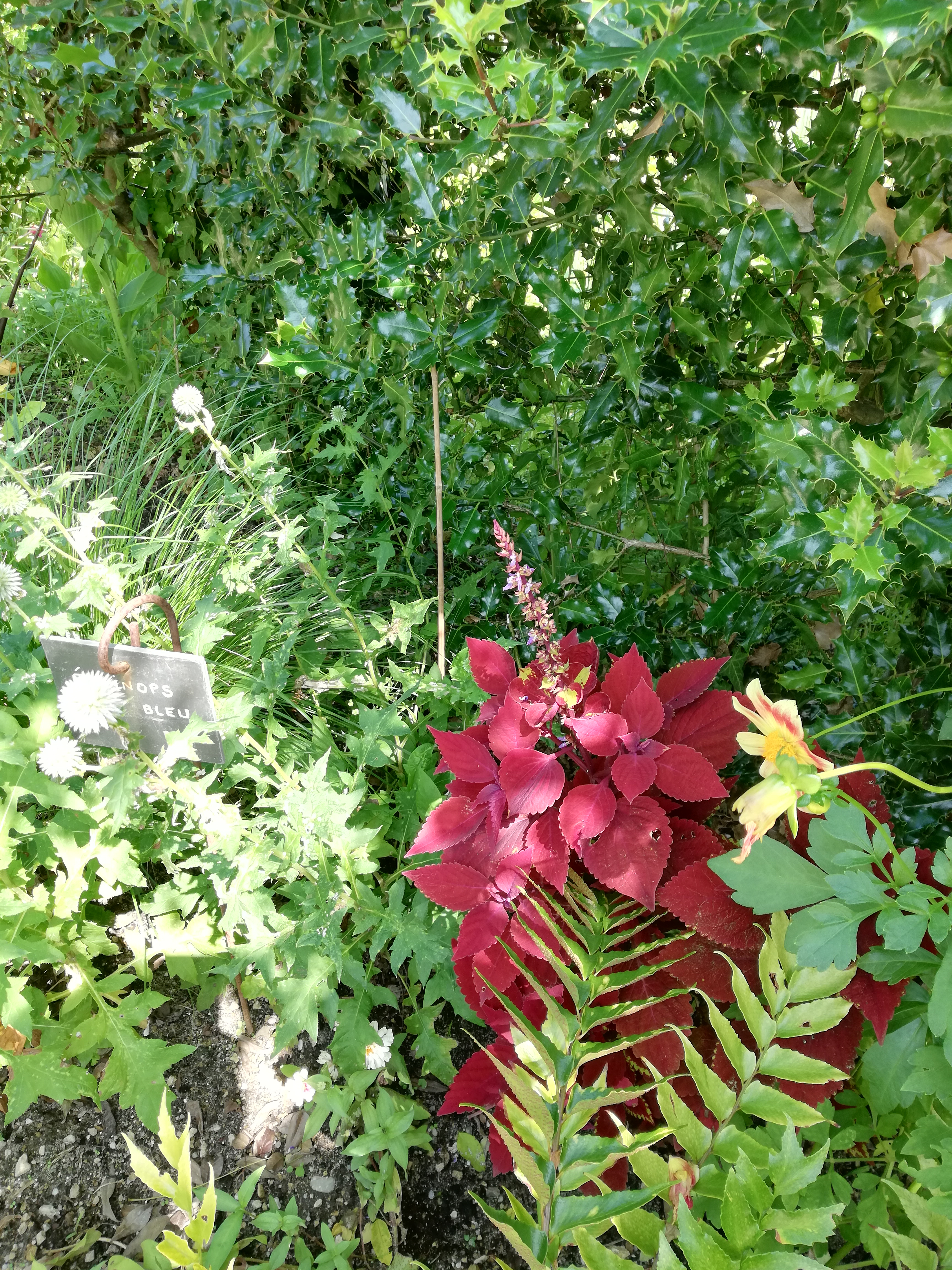 Photo n° 12 de l'avis de marie.a fait le 22/07/2021 à 05:41