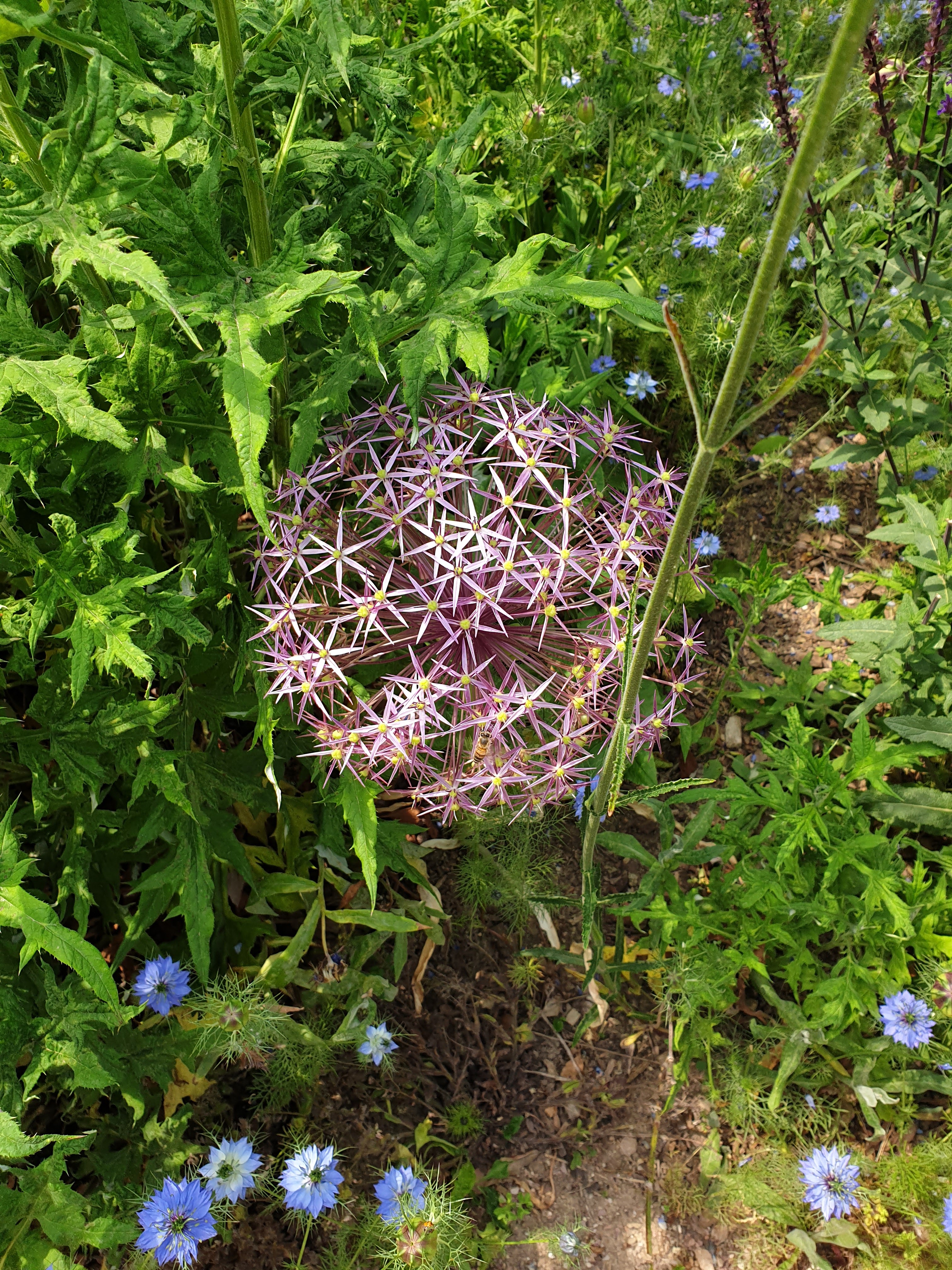 Photo n° 7 de l'avis de Sylvain.o fait le 04/06/2019 à 14:15