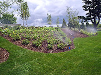 Doctor Sprinkler Irrigation Service - Photo 9 - Car repair in , Raleigh