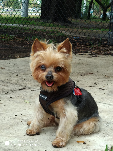 Park «John Williams Park», reviews and photos, 6101 Sheridan St, Hollywood, FL 33021, USA