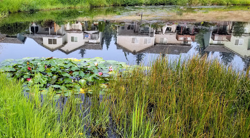 Golf Course «Gleneagle Golf Course», reviews and photos, 7619 E Country Club Dr, Arlington, WA 98223, USA