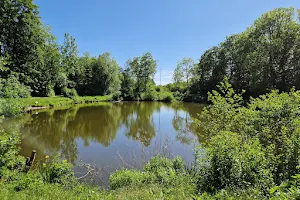 Brøndbyskoven Sø image