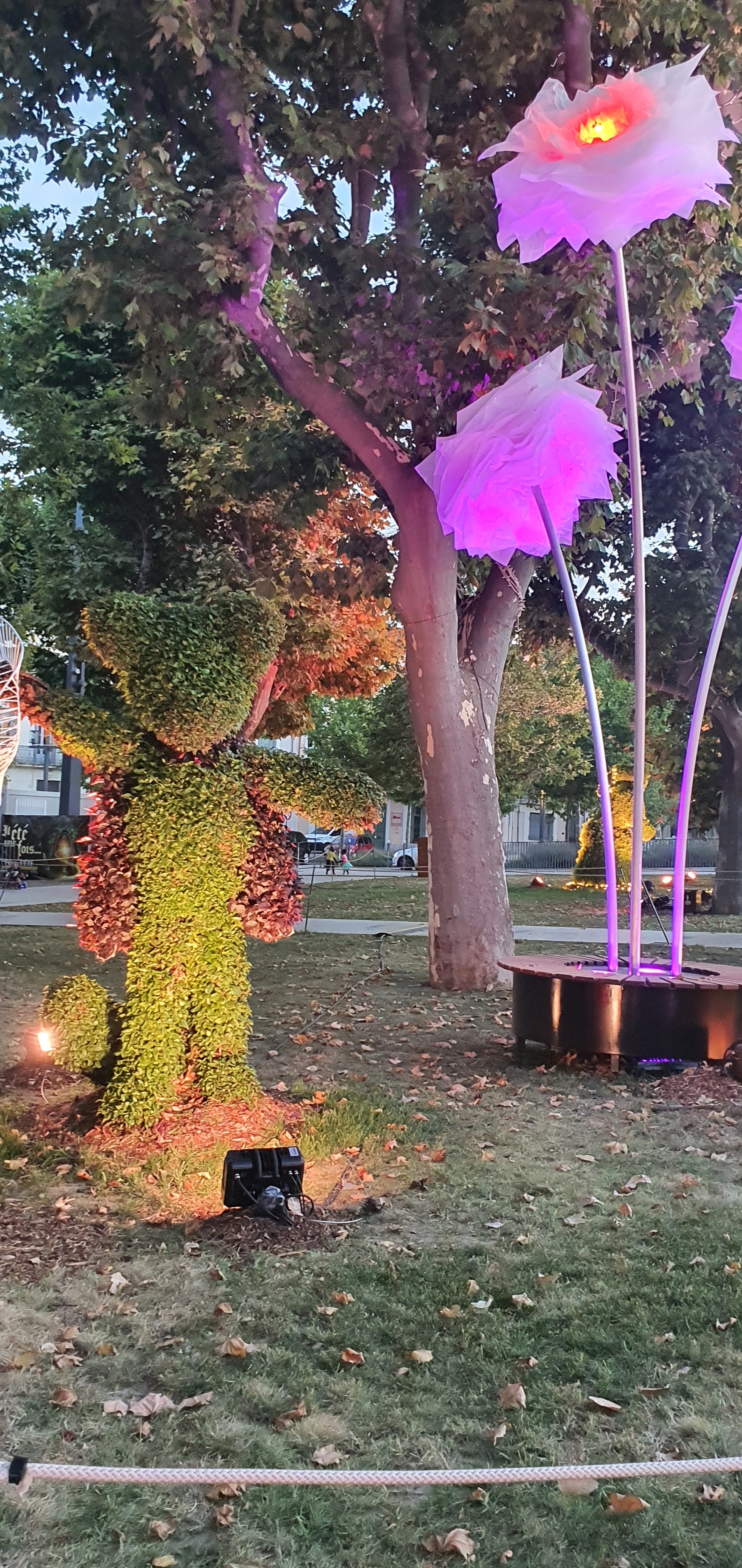 Photo n° 2 de l'avis de Aude.e fait le 14/07/2022 à 20:12