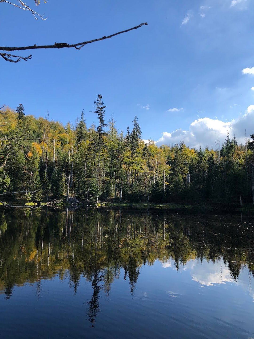 Maine-Ly Heating Oil