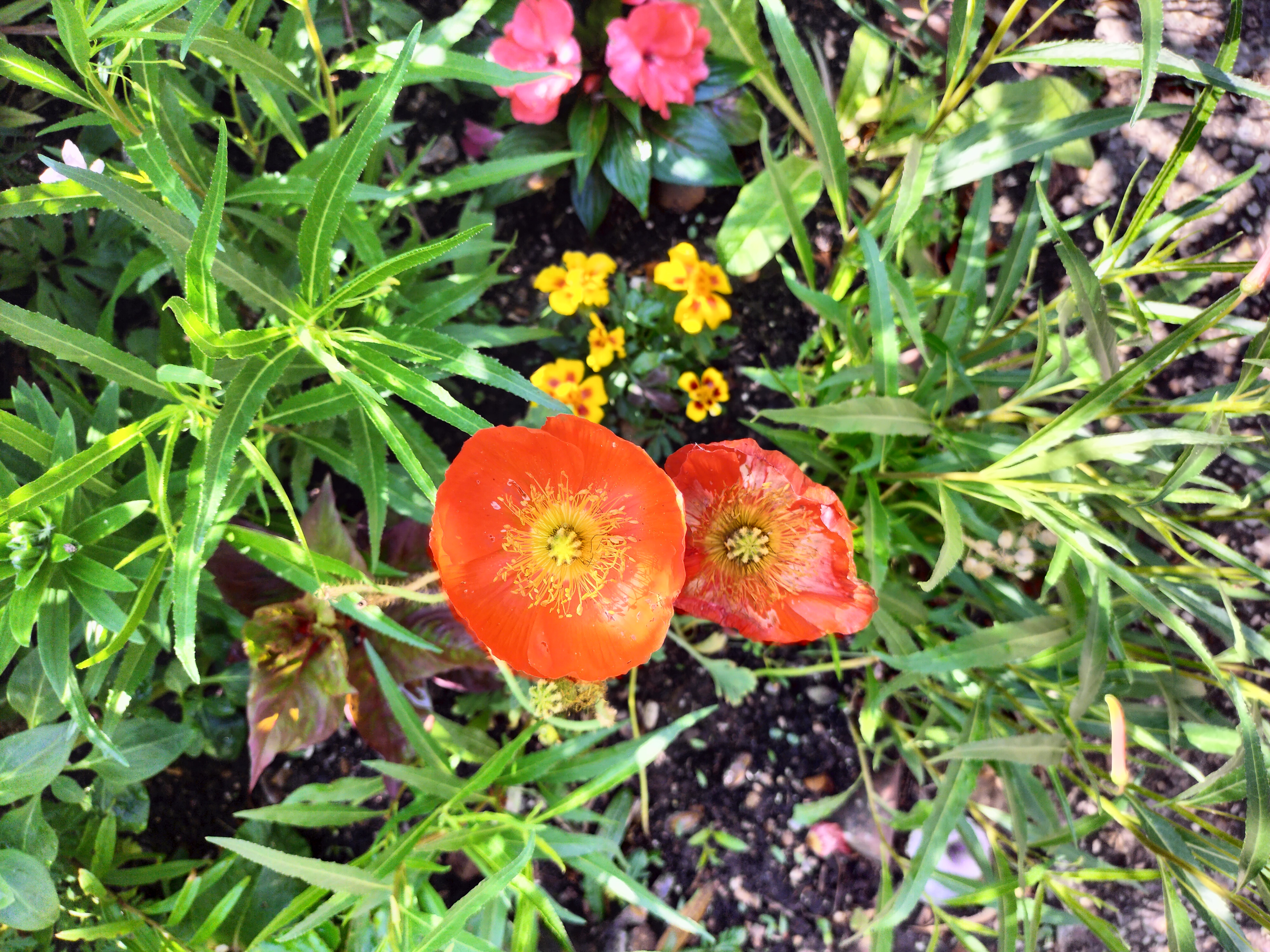 Photo n° 7 de l'avis de didier.e fait le 15/06/2023 à 13:38