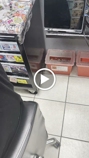 Find tattoo skull ideas for your next unique tattoo in Spring at Late Nite Tattoos