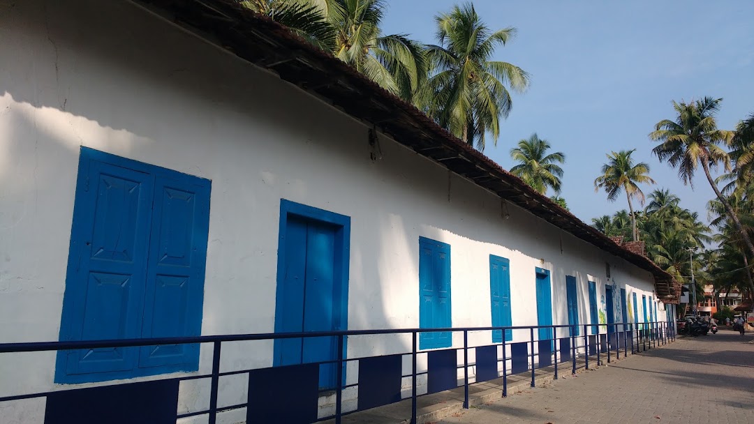 TDLP School