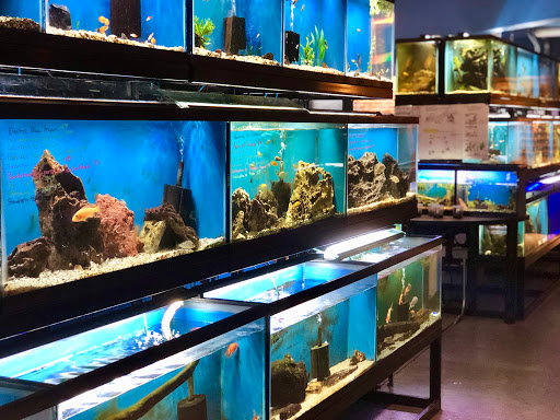 Pet Store «The Pet Works», reviews and photos, 407 4th Ave E, Olympia, WA 98501, USA