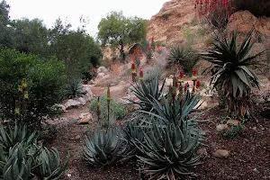 Wallace Desert Garden image