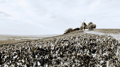 Champagne Francinet-Remy à Mailly-Champagne