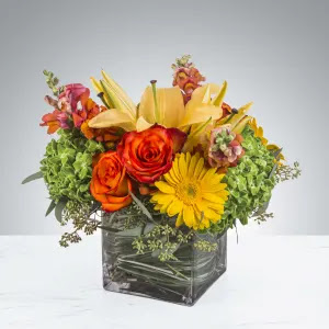 Florist «Peddles Wedding Flowers», reviews and photos, 319 N Ronald Reagan Blvd, Longwood, FL 32750, USA