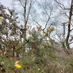 Photo n° 22 de l'avis de Charles-.d fait le 19/03/2023 à 17:25 pour Réserve naturelle régionale du plateau des landes à Heuringhem