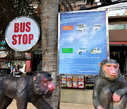 Bus stop photo