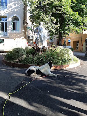 Éducation canine 34 école du chiot à Campagnan
