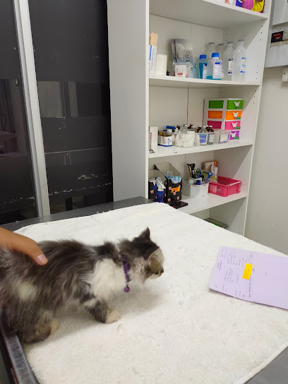 V Care Animal Clinic