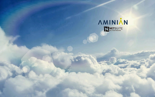 Aminian Business Services, Inc.