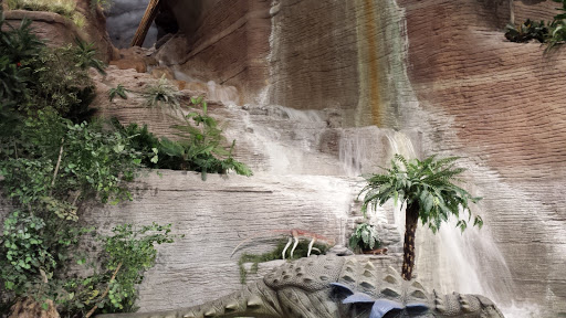 Tourist Attraction «Arizona Museum of Natural History», reviews and photos, 53 N Macdonald, Mesa, AZ 85201, USA