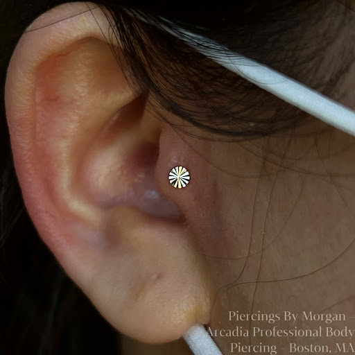 Find dragon tattoo ideas for men for your next unique tattoo in Boston at Arcadia Body Piercing