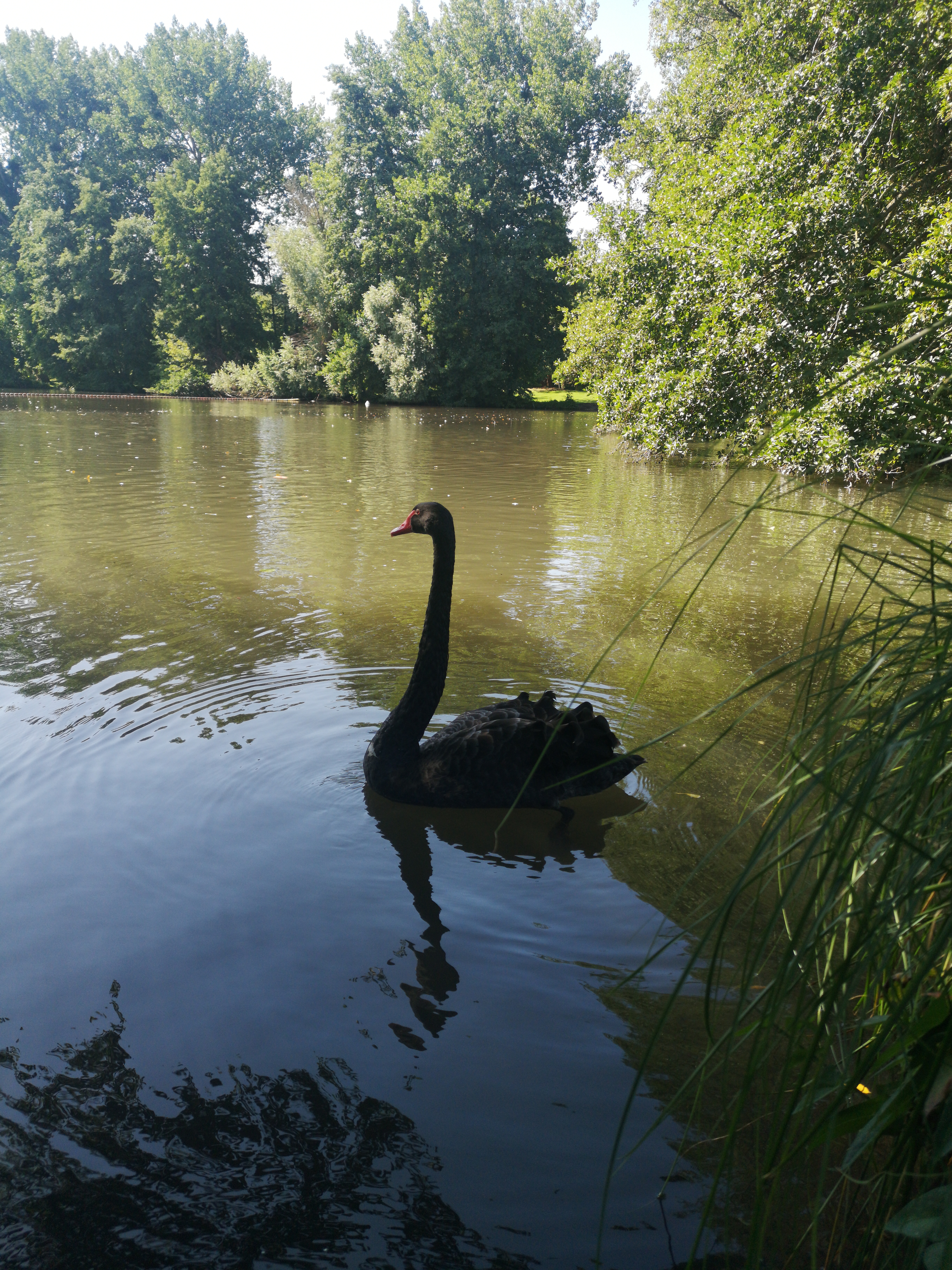 Photo n° 2 de l'avis de Cora.i fait le 22/08/2019 à 14:34