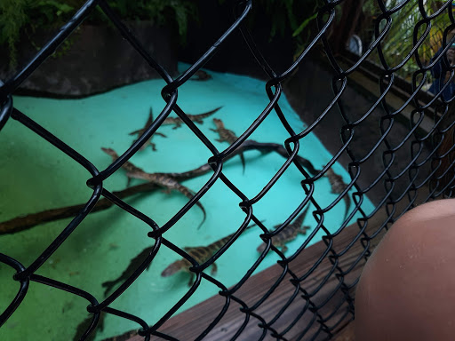 Aquarium «Florida Keys Aquarium Encounters», reviews and photos, 11710 Overseas Hwy, Marathon, FL 33050, USA