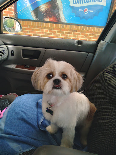 Pet Store «Boiling Springs Pet World», reviews and photos, 2651 Boiling Springs Rd, Spartanburg, SC 29316, USA