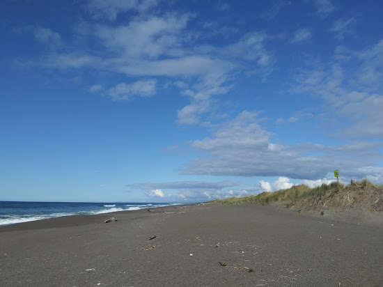 Boice-Cope Beach