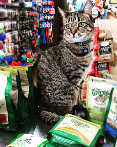 Pet Supply Store «Northern California Pet Supply and Grooming», reviews and photos, 1580 Nursery Way, McKinleyville, CA 95519, USA