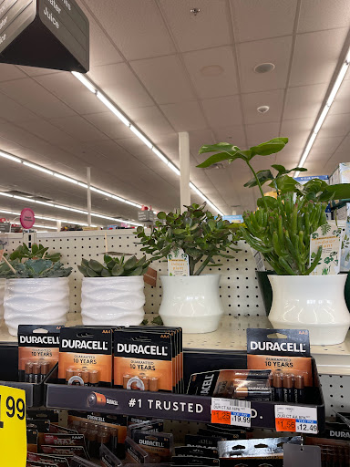 Drug Store «CVS», reviews and photos, 163 Mountain Rd, Suffield, CT 06078, USA