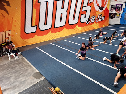 Lobos Gym - Cra. 15, Bogotá, Colombia