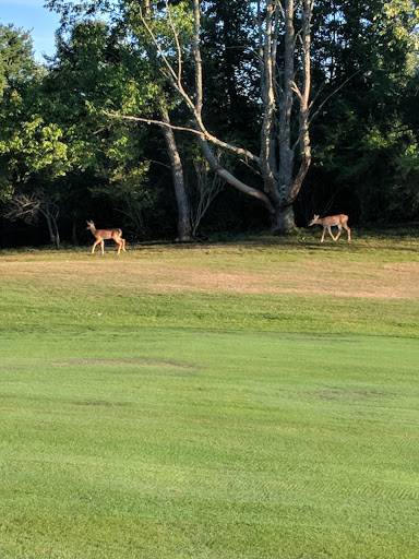 Golf Club «Tyrone Hills Golf Club», reviews and photos, 8449 N Old US Hwy 23, Fenton, MI 48430, USA