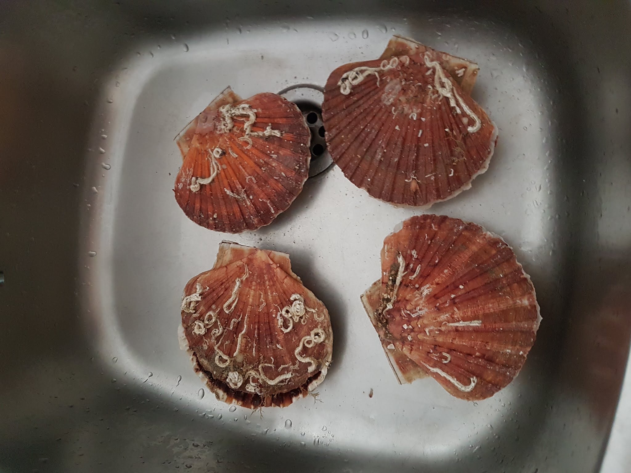 Photo n° 6 de l'avis de Geraldine.C fait le 29/10/2019 à 17:49