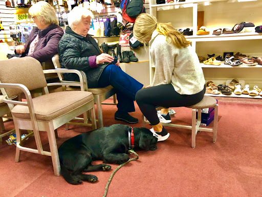 Shoe Store «Wagner Quality Shoes», reviews and photos, 4313 Butler St, Pittsburgh, PA 15201, USA