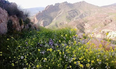 Photos of قصبة يلمان