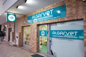 Veterinary Center of Olhos de Água - AlgarVet image
