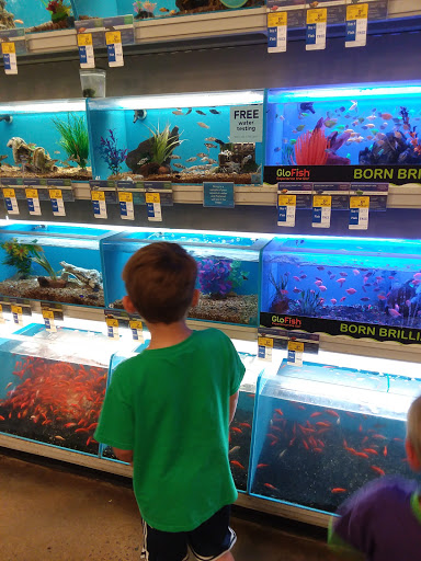 Pet Supply Store «PetSmart», reviews and photos, 2130 Gunbarrel Rd, Chattanooga, TN 37421, USA