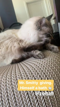 Happy Tails - Photo 9 - Car repair in San Diego, CA, San Diego