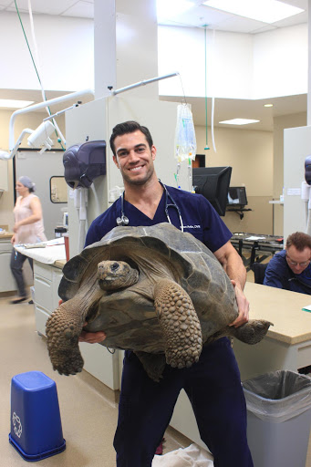 Conejo Valley Veterinary Hospital