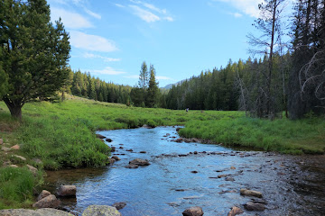 Bighorn National Forest