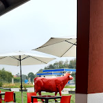 Photo n°1 de l'avis de giuseppe.e fait le 24/09/2022 à 14:49 sur le  Bue Rosso Risto Pizza Grill à Dorzano