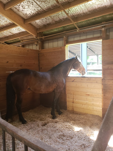 Event Venue «Chastain Horse Park - Special Event Facility», reviews and photos, 4371 Powers Ferry Rd NW, Atlanta, GA 30327, USA